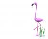 funny 3d wallpapers (15)